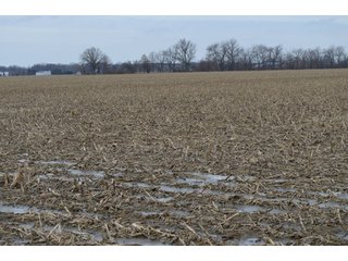 Property photo 23 - 173 +/- Acres Offered in 3 Tracts - Ohio Farmland